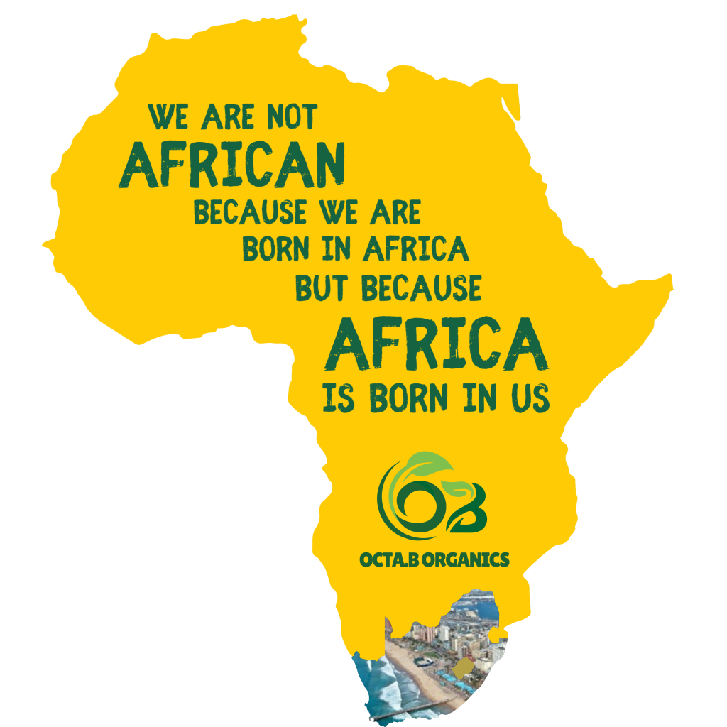 ob icon 1 (1080 x 1080 px)